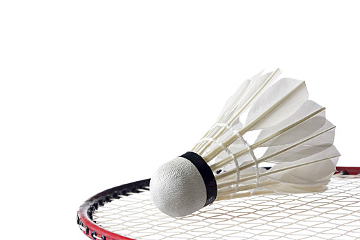 杜伯超在这 杜伯超在这