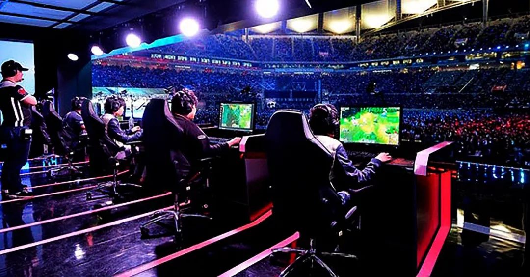 他们不仅要 他们不仅要