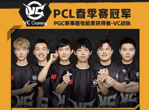 组织位补强 组织位补强